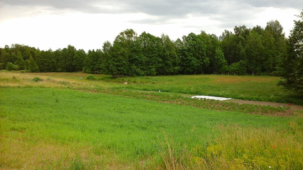 Zagroda Z Antonowka Szypliszki Exteriör bild